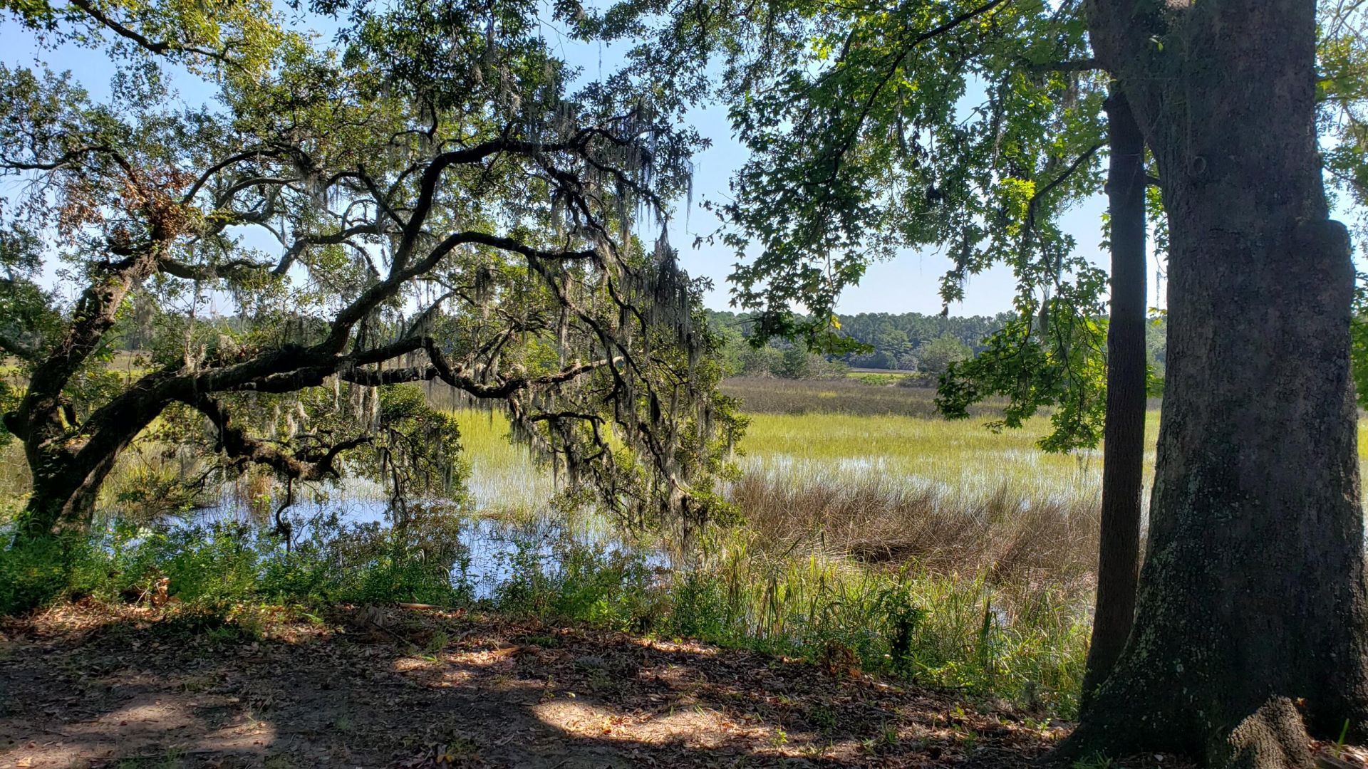 2340 Ashley River Road Photo 5