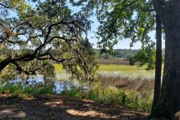 2340 Ashley River Road photo 4