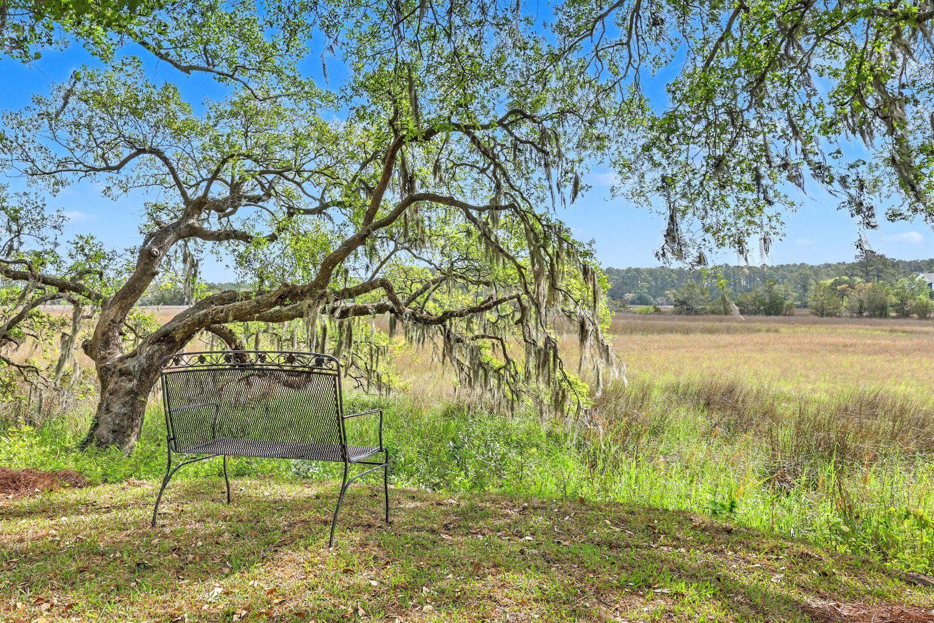 2340 Ashley River Road Photo 6