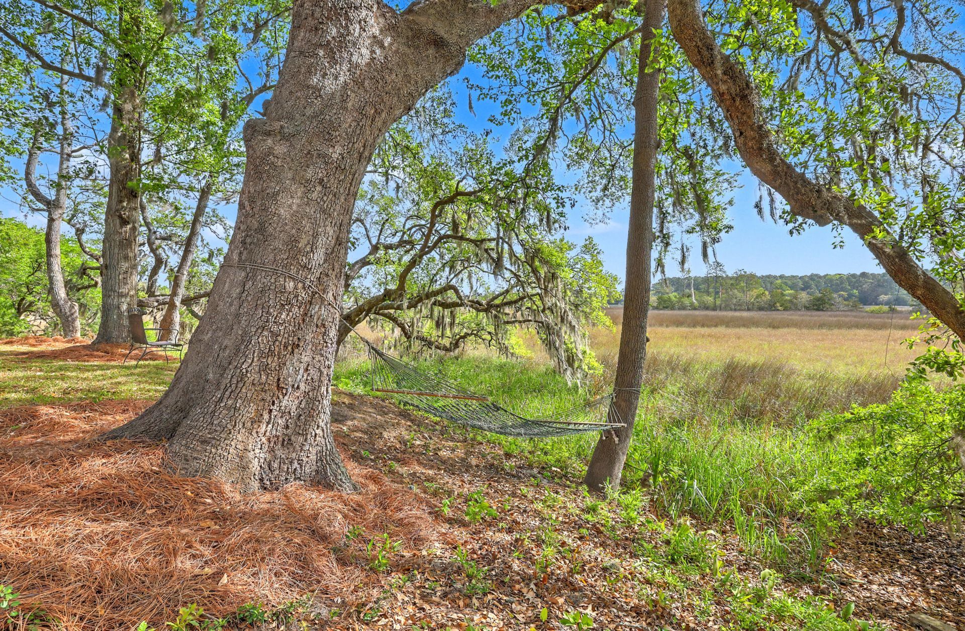 2340 Ashley River Road Photo 8