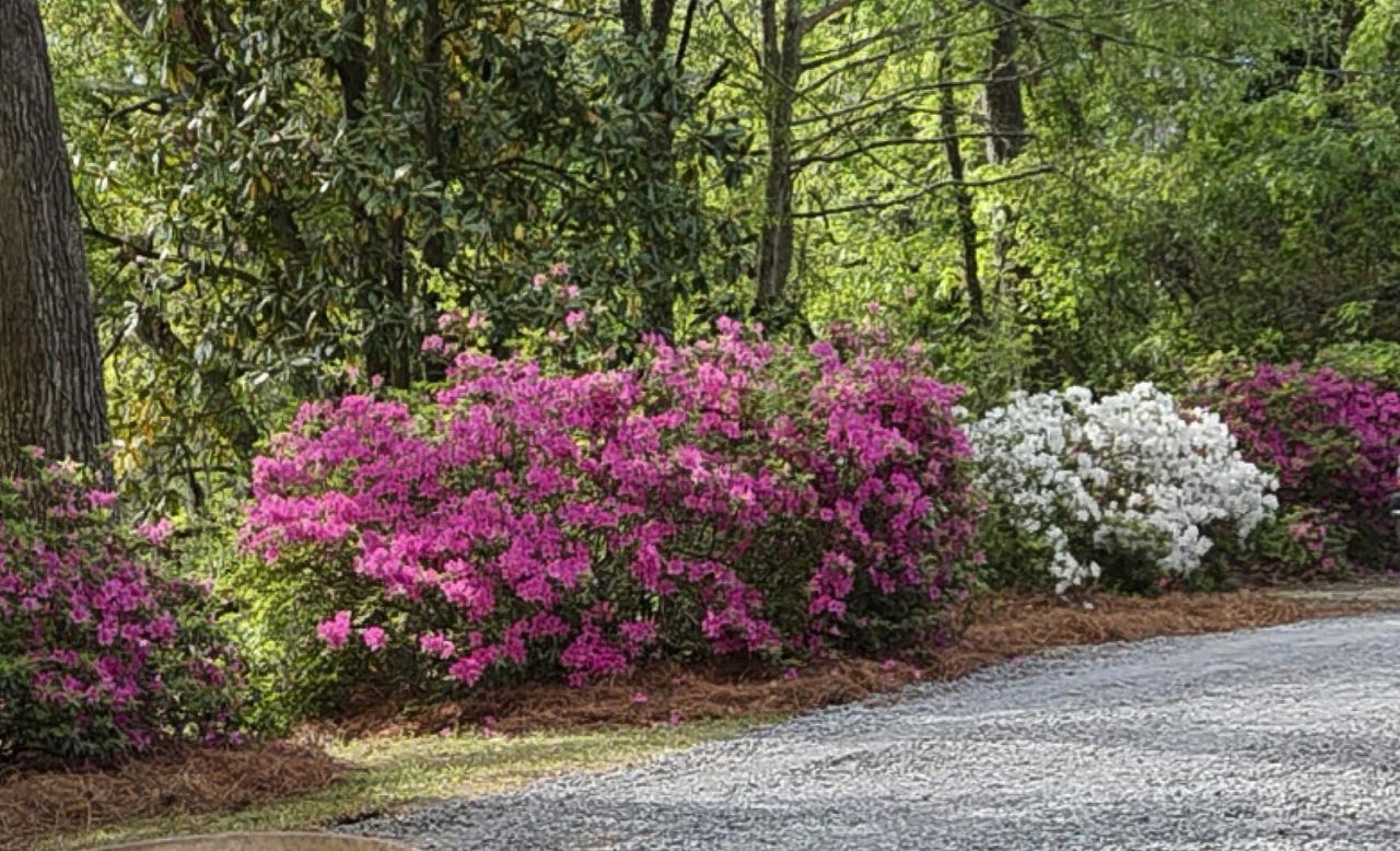 2340 Ashley River Road Photo 8