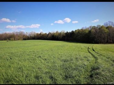 Route 39, Collins, NY 14034