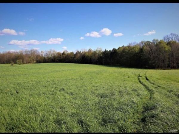 Route 39, Collins, NY 14034