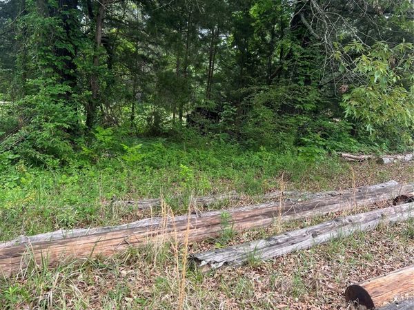 1162 N County Road 4280 Road, Hugo, OK 74743