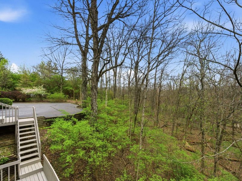 235 Partridge Bend , Powell, OH 43065 Photo 46