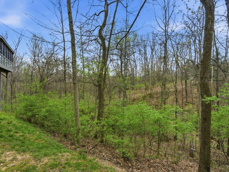 235 Partridge Bend , Powell, OH 43065 Photo 49