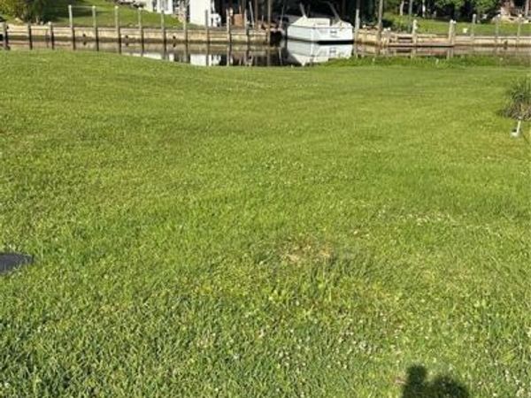 26A 26B BUNS Lane, Springfield, LA 70462