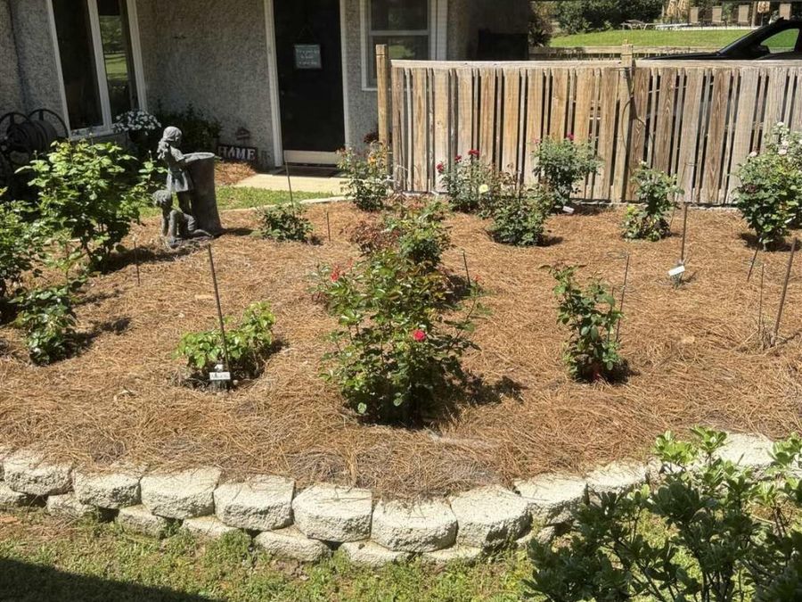 Property Image 42