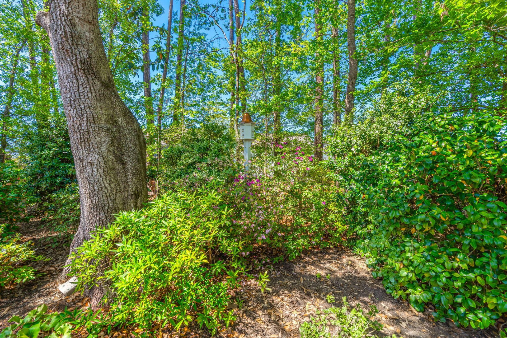 205 Weston Hall Drive Photo 64