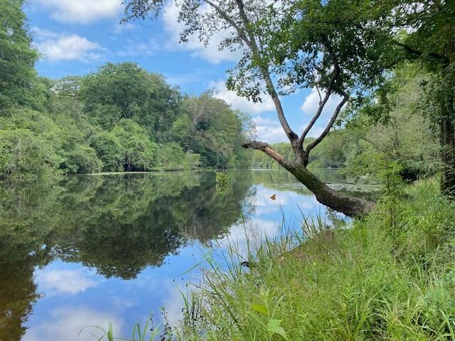 205 Weston Hall Drive Photo 73