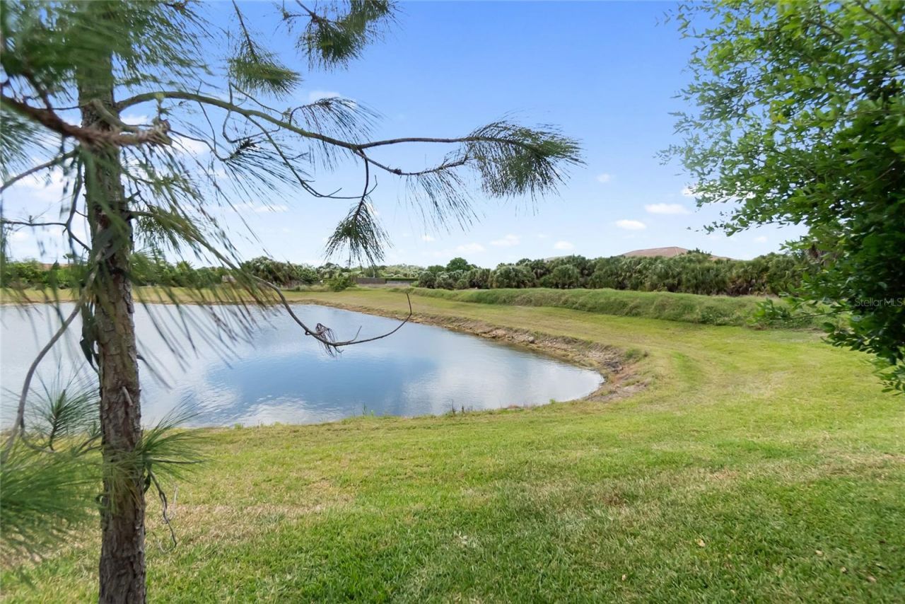 12725 Lateral Root Drive, Sarasota, FL 34238 Photo