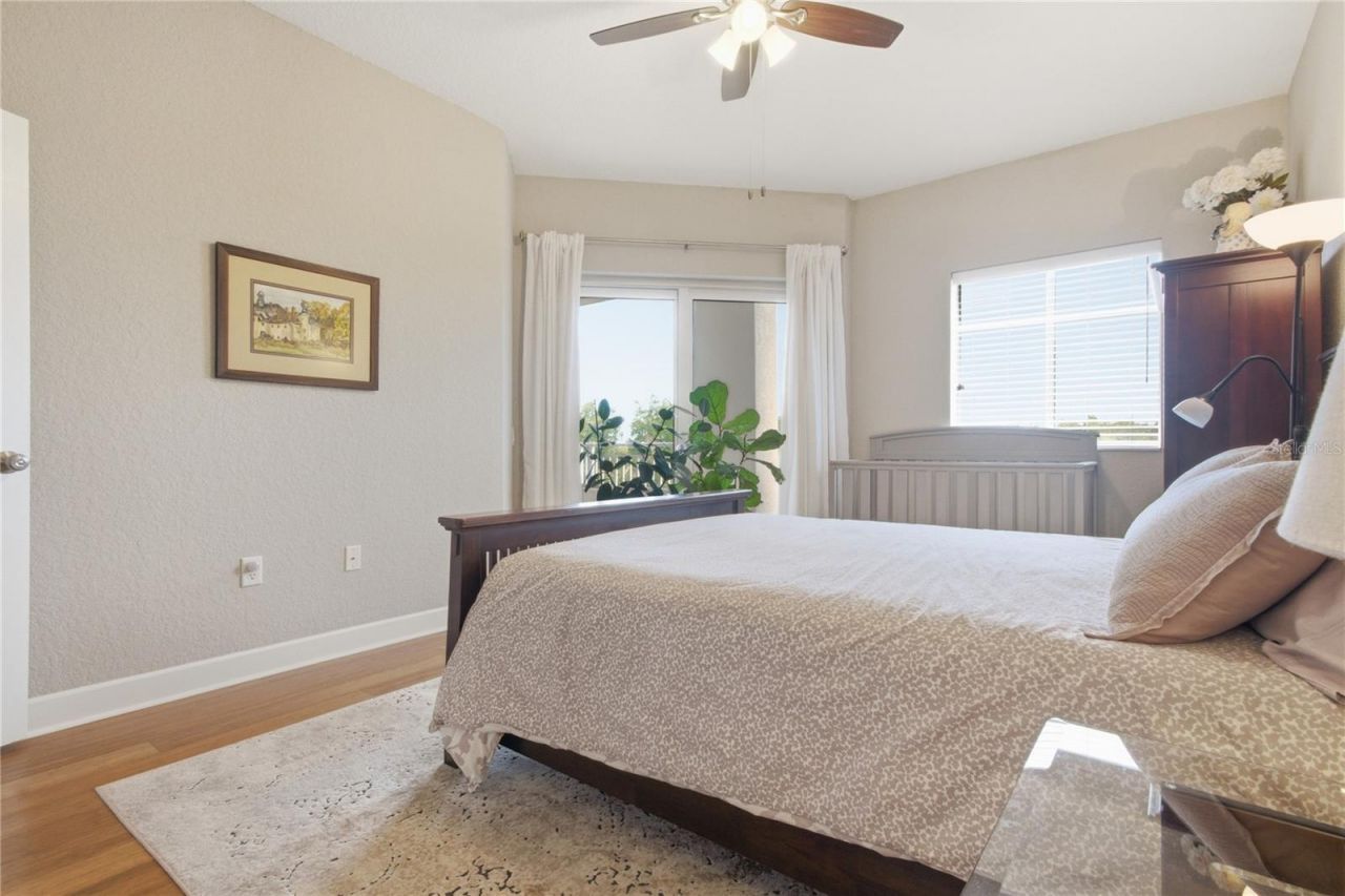 12055 Gandy Boulevard N, Unit 243, Saint Petersburg, FL 33702 Photo