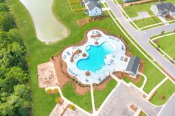 715 Blue Mistflower Drive photo 4