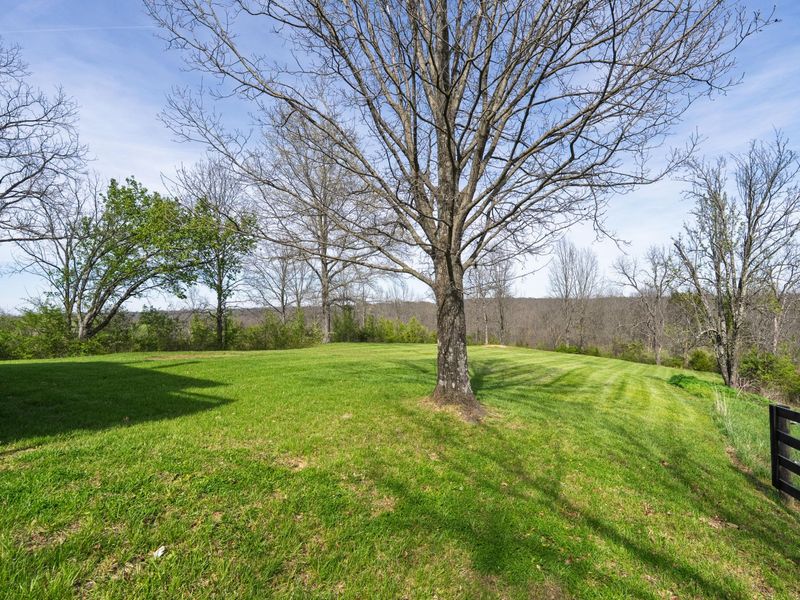 7435 Warsaw Road, Dry Ridge, KY 41035 Photo 4