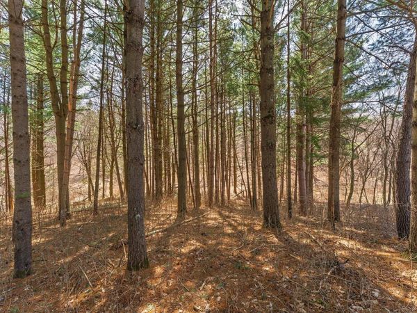 Lot 63 Staghorn Court, La Valle, WI 53941
