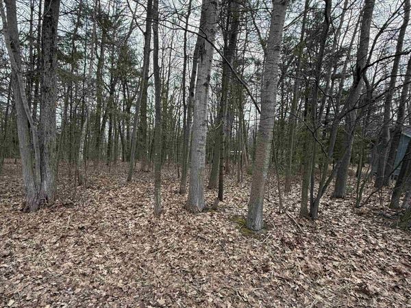 Gaston Way, Oscoda, MI 48750