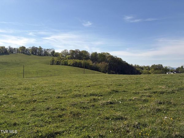 Lot 1 Washington College Road, Limestone, TN 37681
