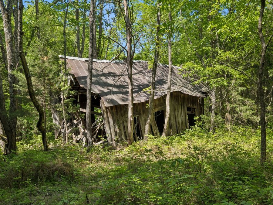 Property Image 42