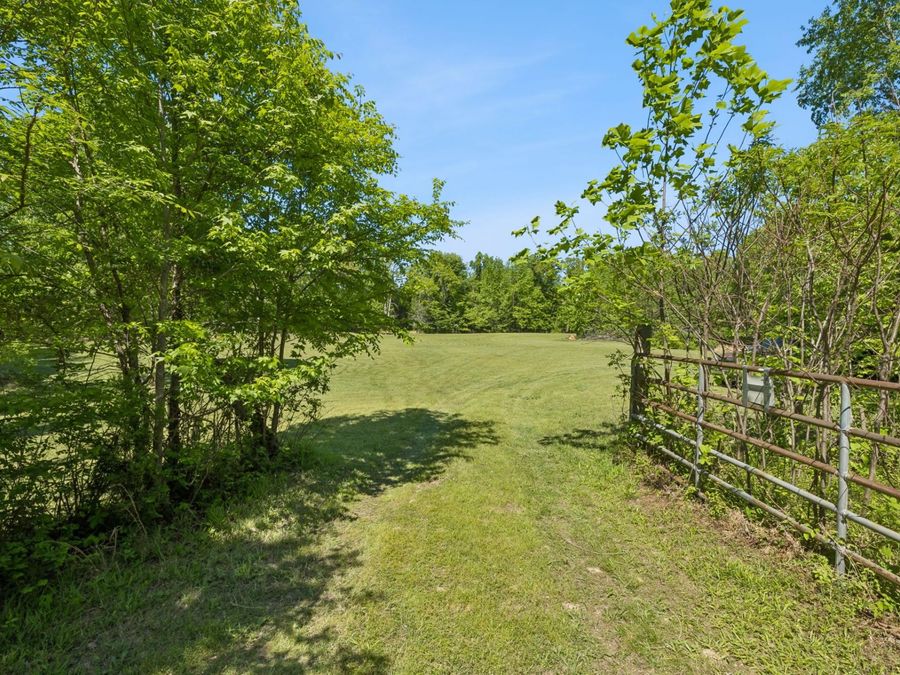 Property Image 43