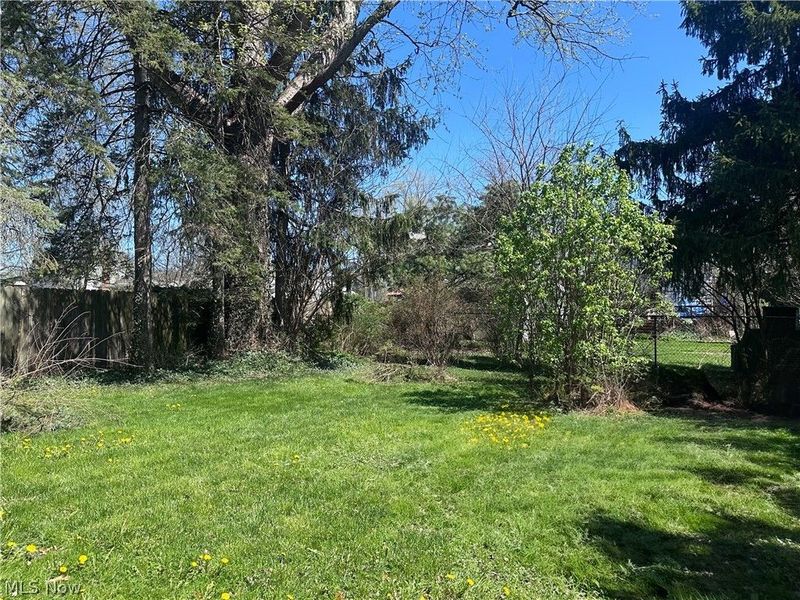 319 Summit Avenue, Niles, OH 44446 Photo 30