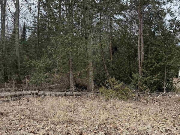 Woodlea Road, Oscoda, MI 48750