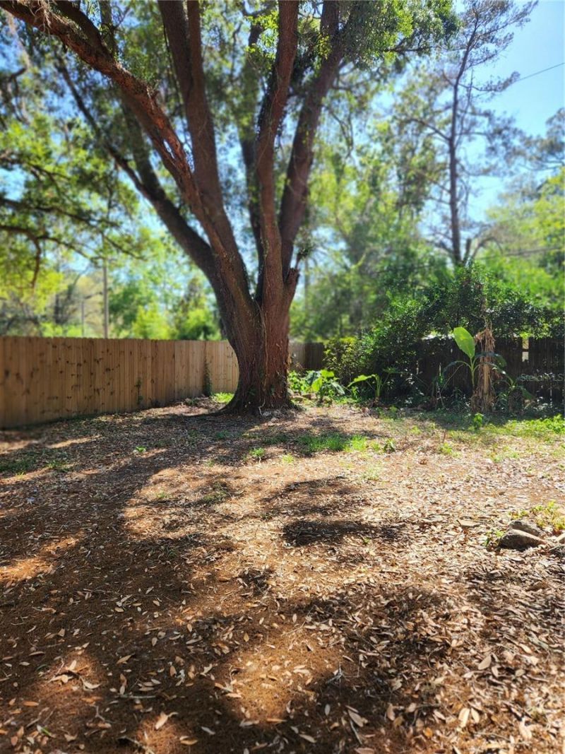 2822 NE 16th Drive, Gainesville, FL 32609 Photo