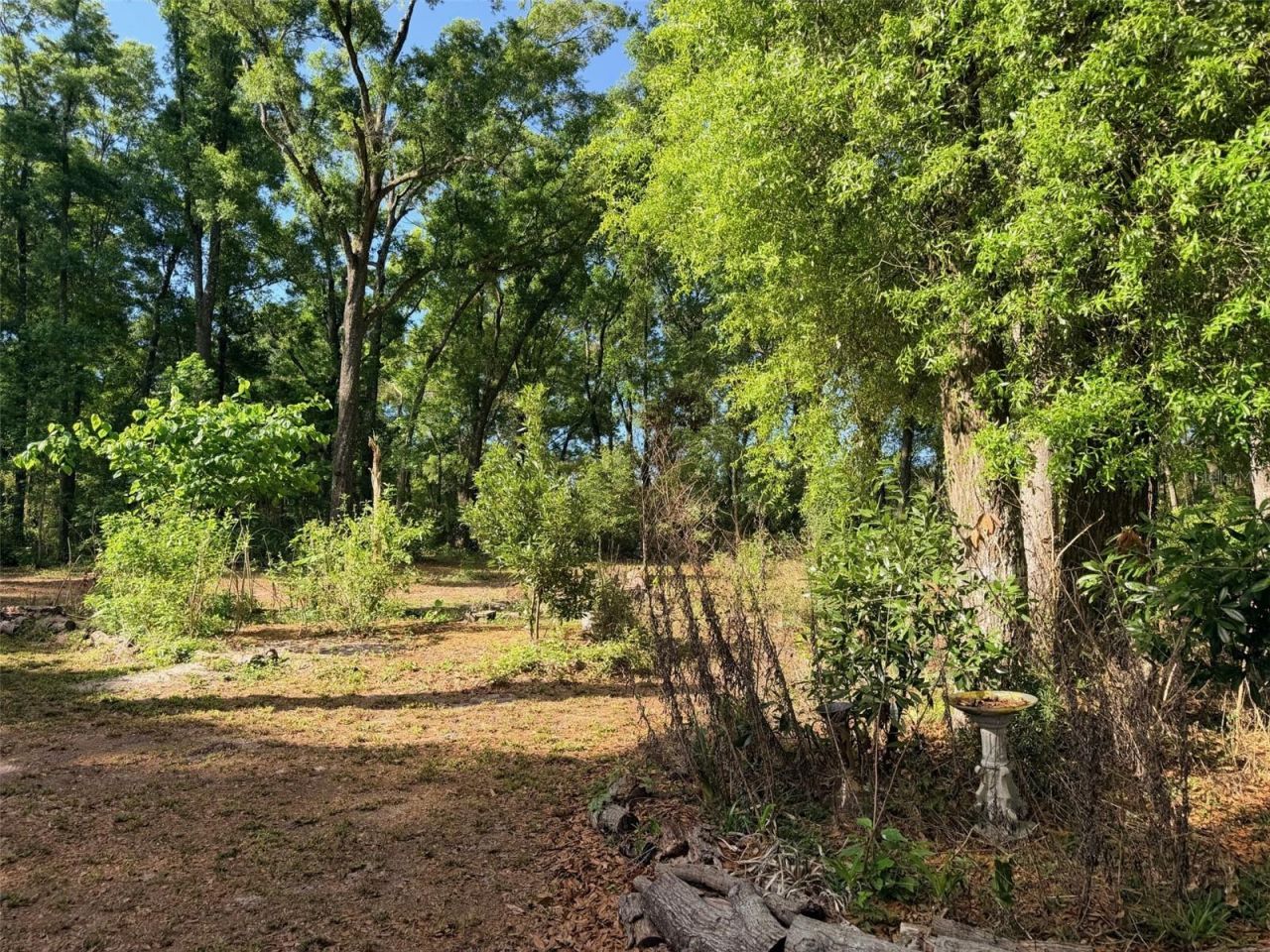 14790 NW 72nd Court , Chiefland, FL 32626 Photo