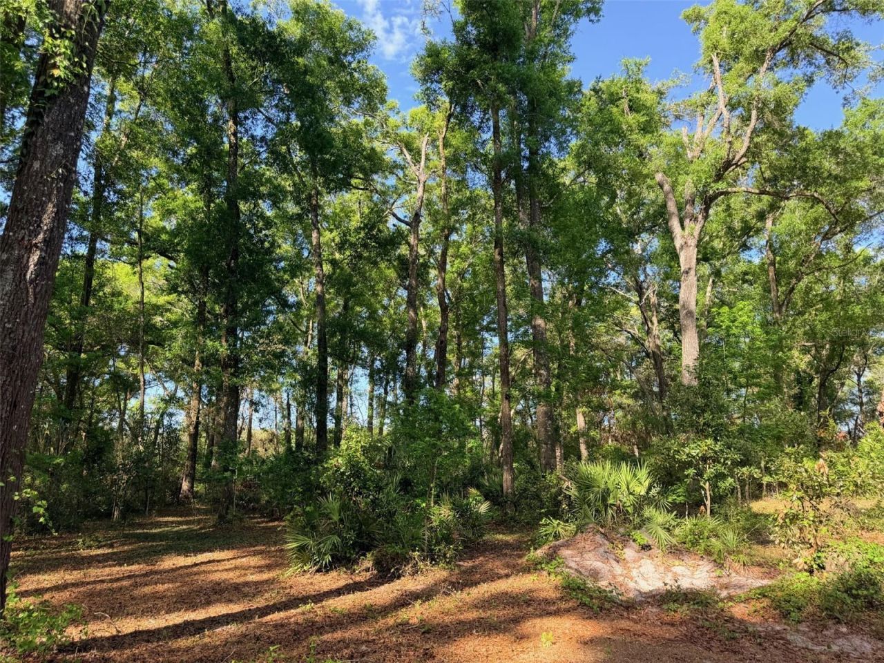 14790 NW 72nd Court , Chiefland, FL 32626 Photo