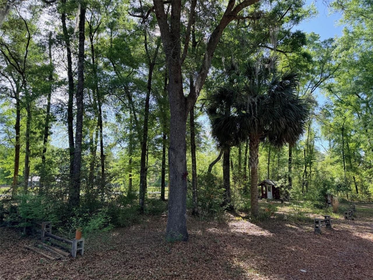 14790 NW 72nd Court , Chiefland, FL 32626 Photo