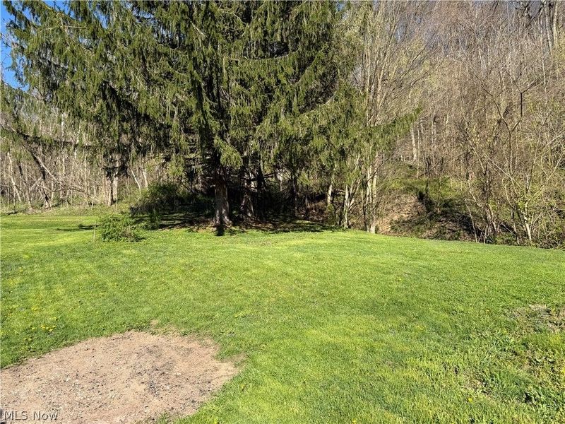 236 Ace Drive, Rayland, OH 43943 Photo 9