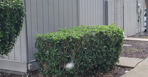 5935 Bamford Dr, Sacramento, CA 95823 Photo