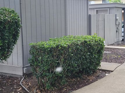 5935 Bamford Dr, Sacramento, CA 95823 Photo