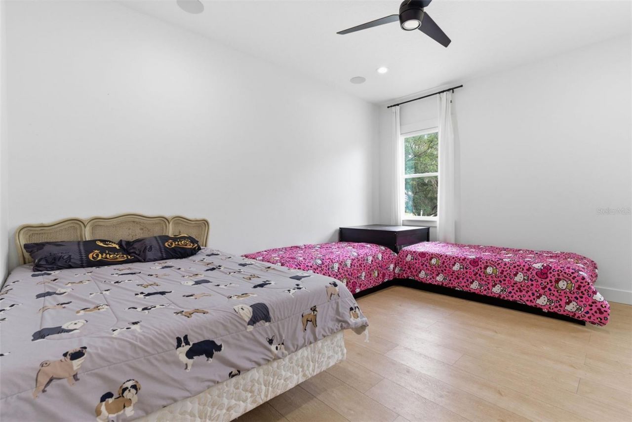 8241 Cass Road, Zephyrhills, FL 33540 Photo