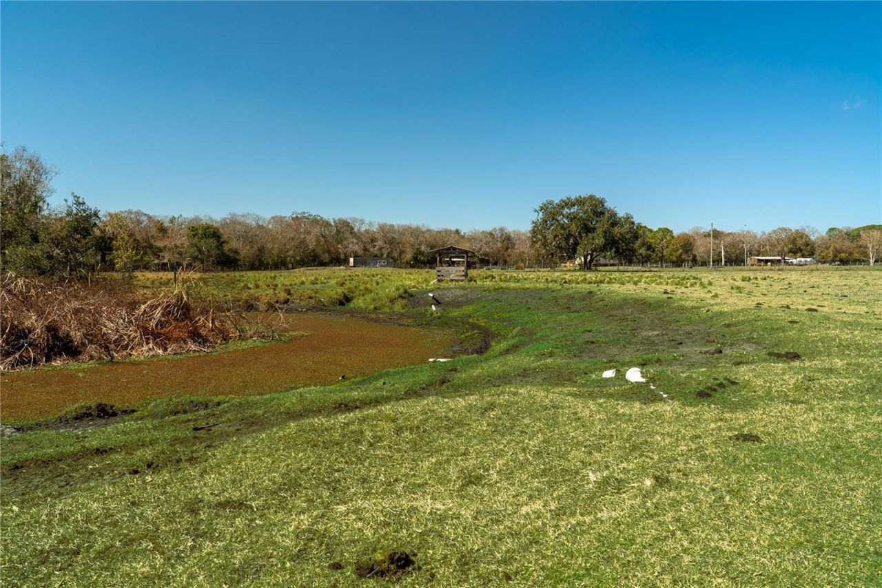 1200 Arbuckle Branch Road, Sebring, FL 33870 Photo