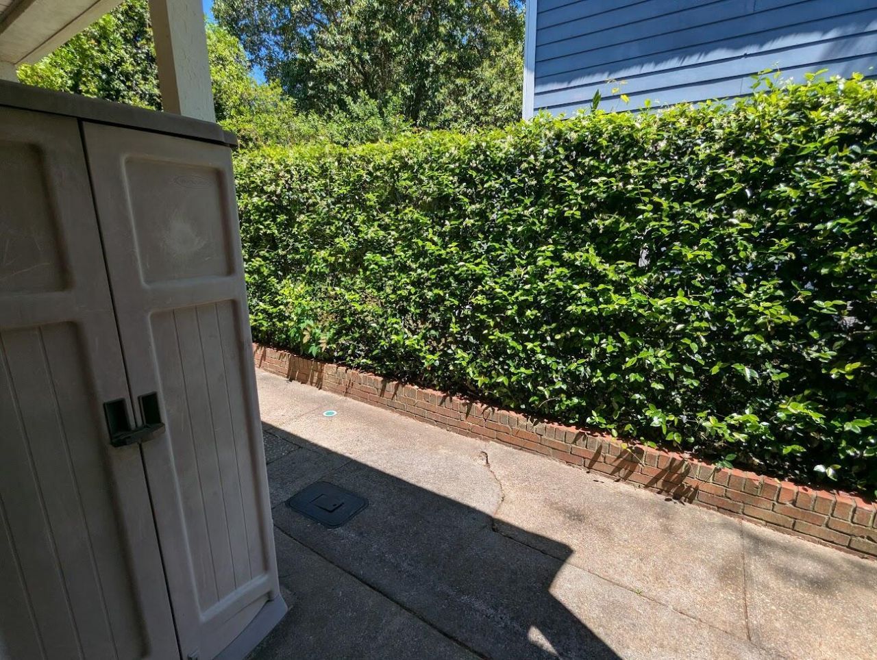 21 Hester Street Photo 12