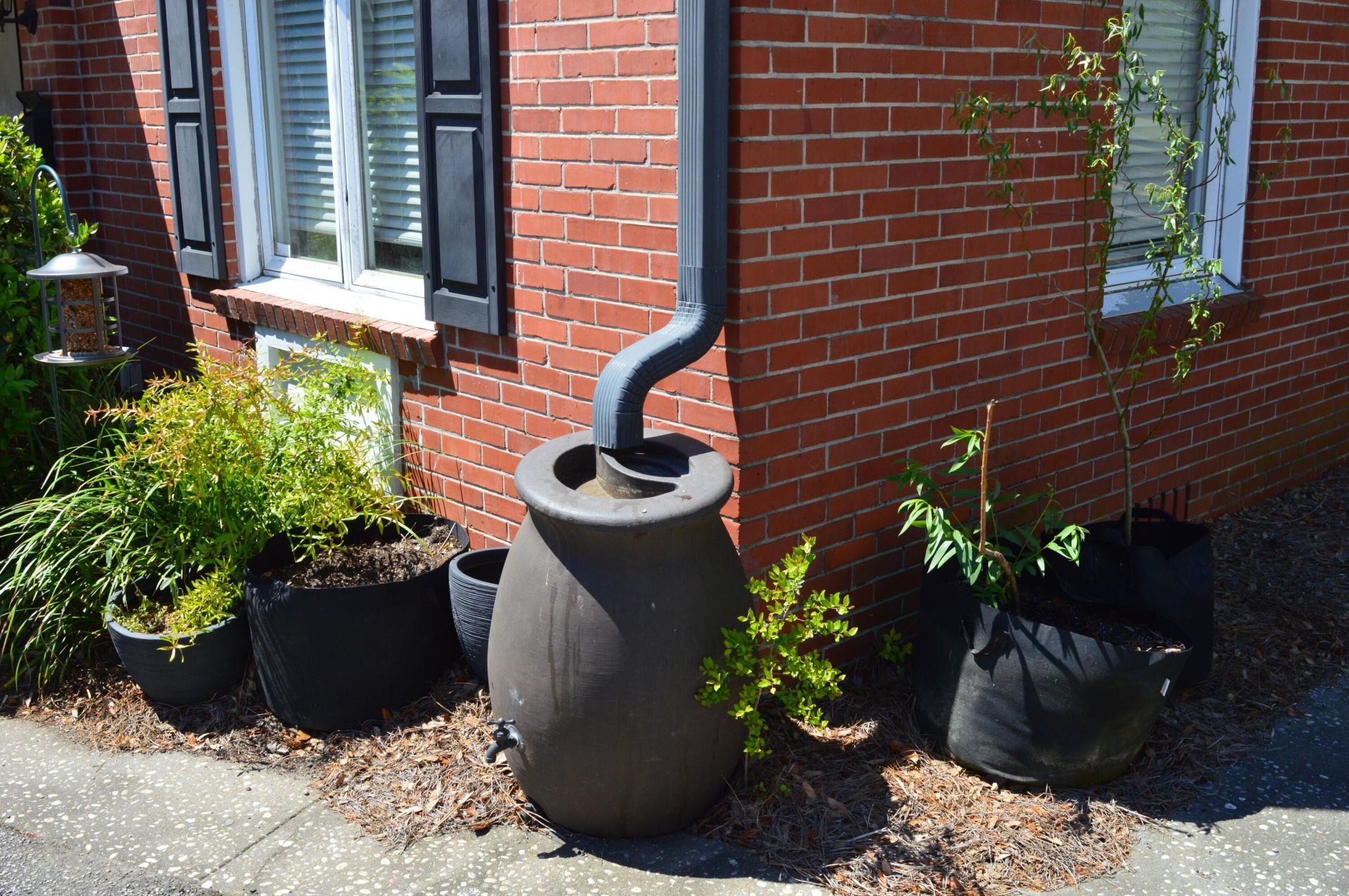 21 Hester Street Photo 42