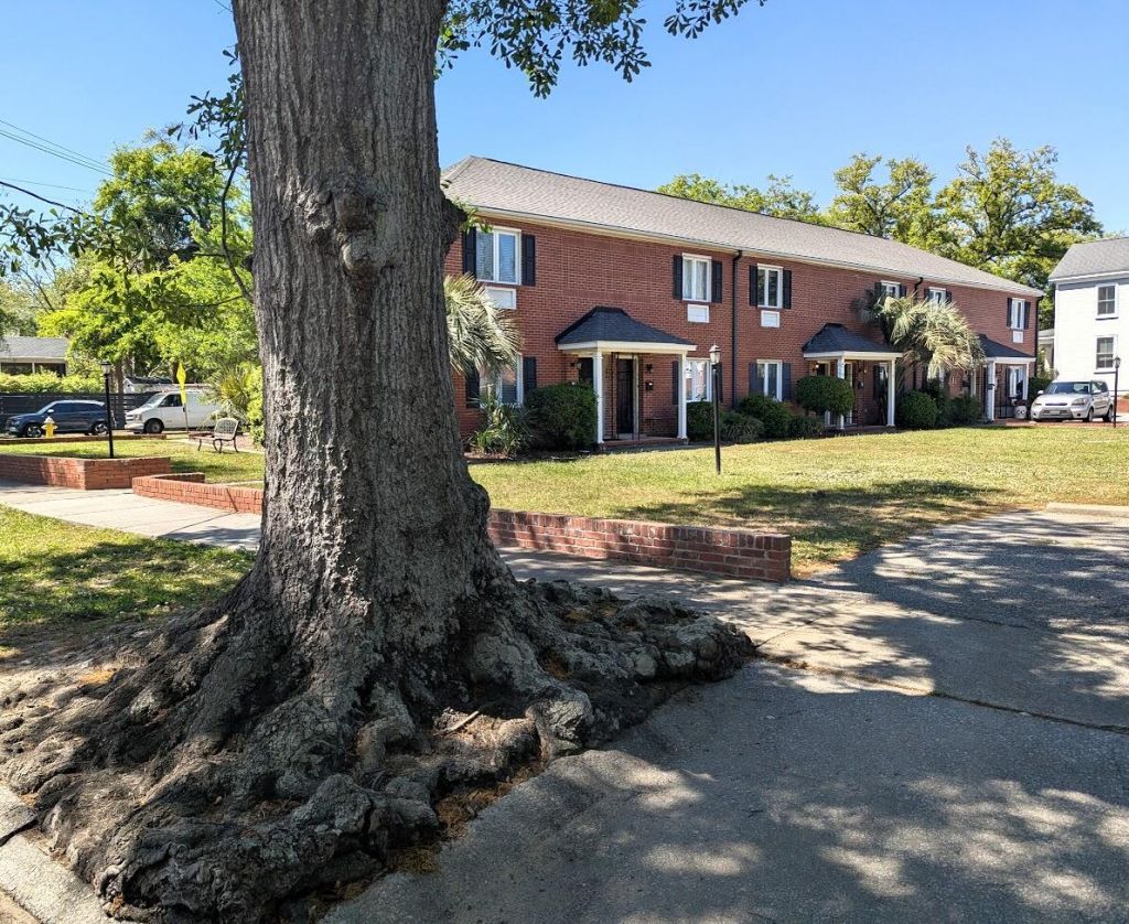 21 Hester Street Photo 43