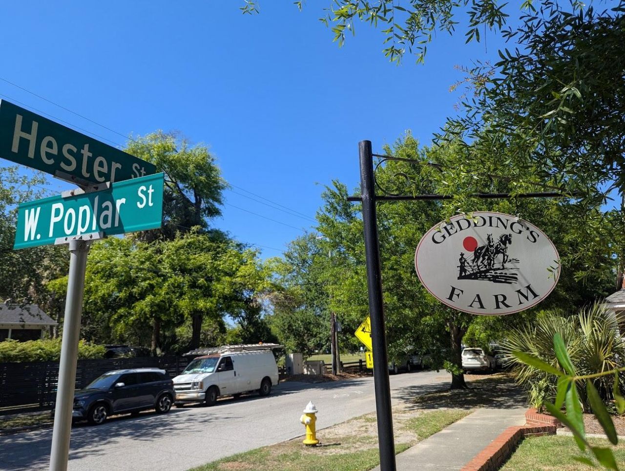 21 Hester Street Photo 45