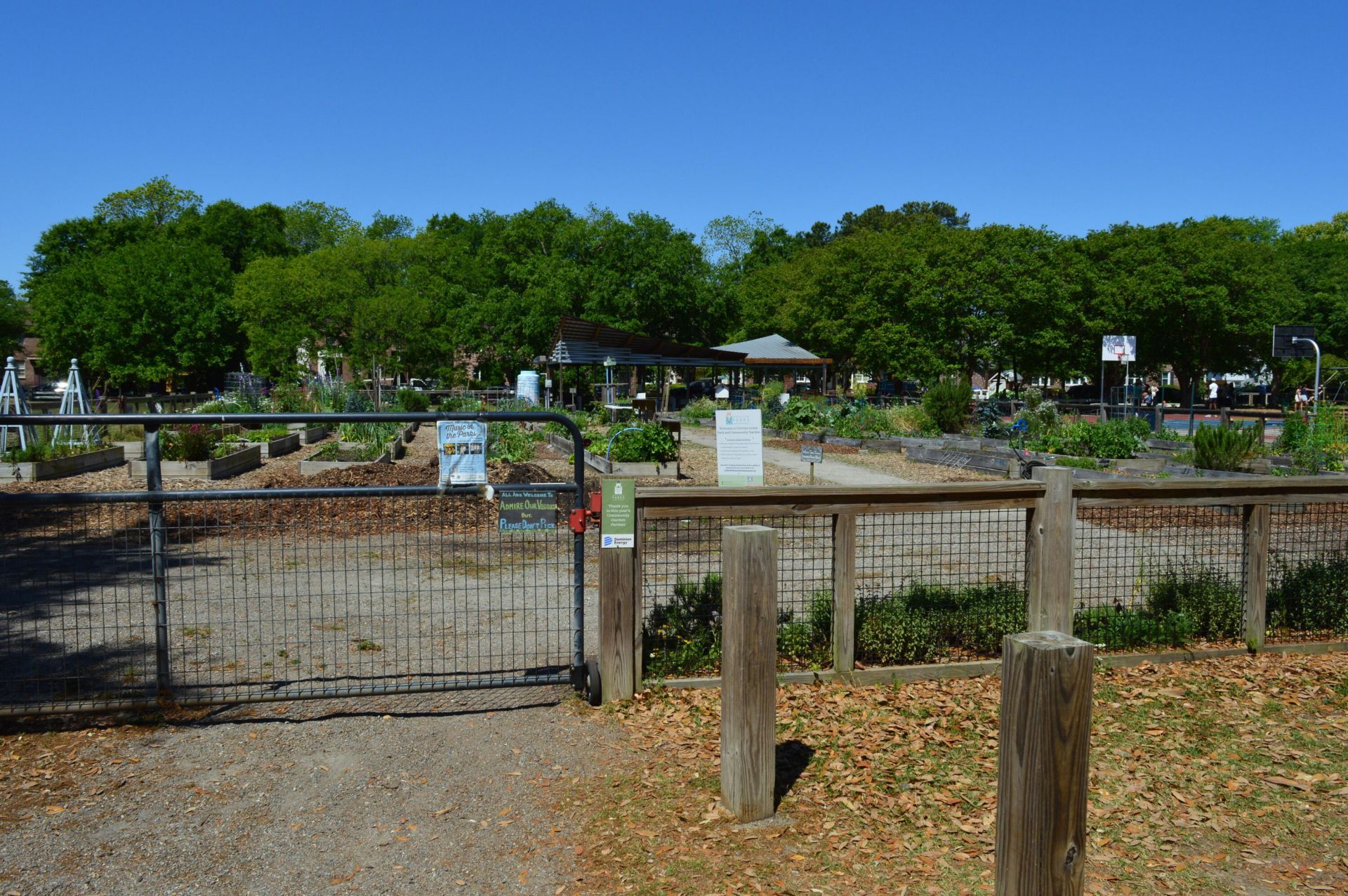 21 Hester Street Photo 49