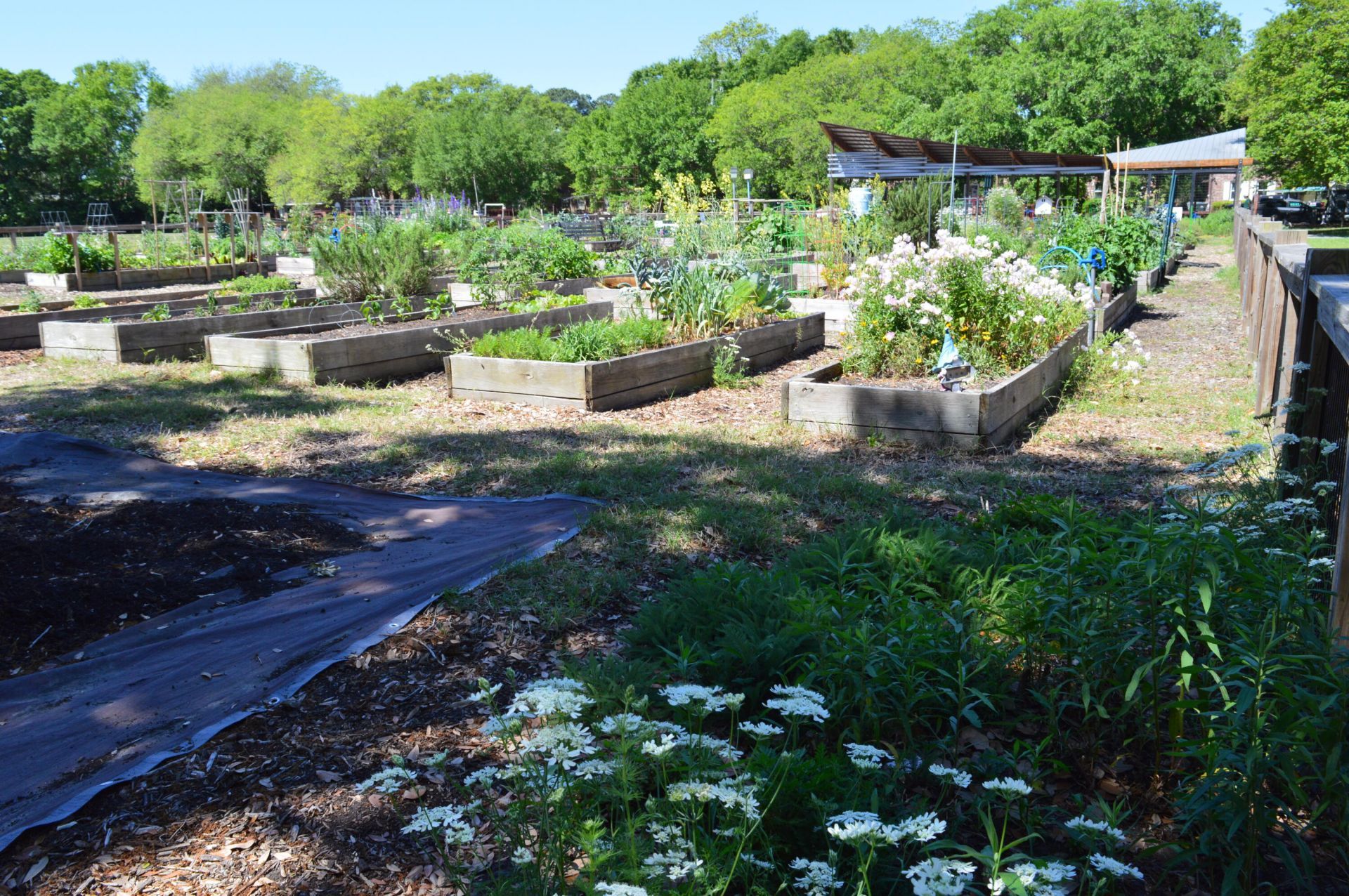 21 Hester Street Photo 51