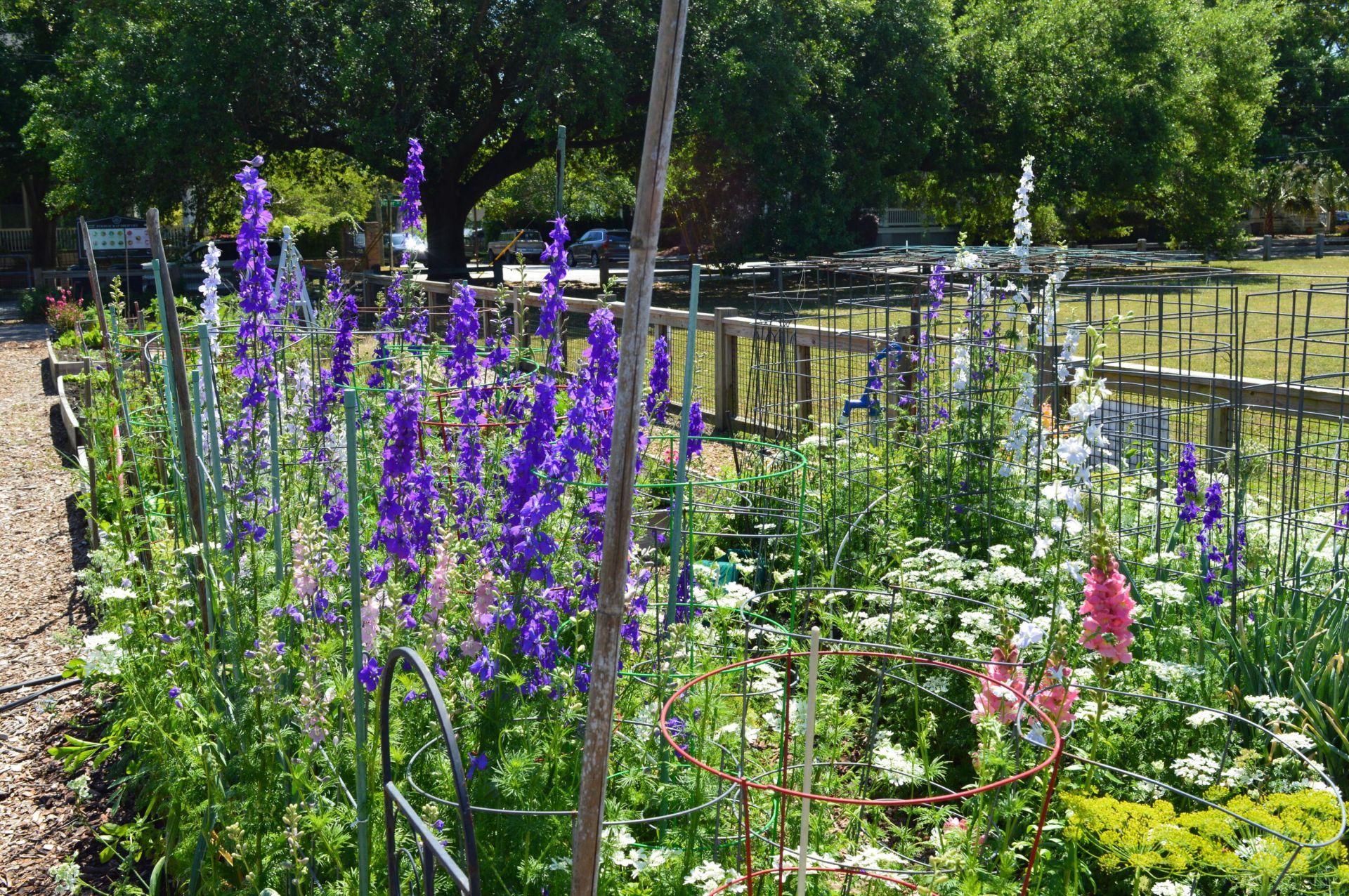 21 Hester Street Photo 51