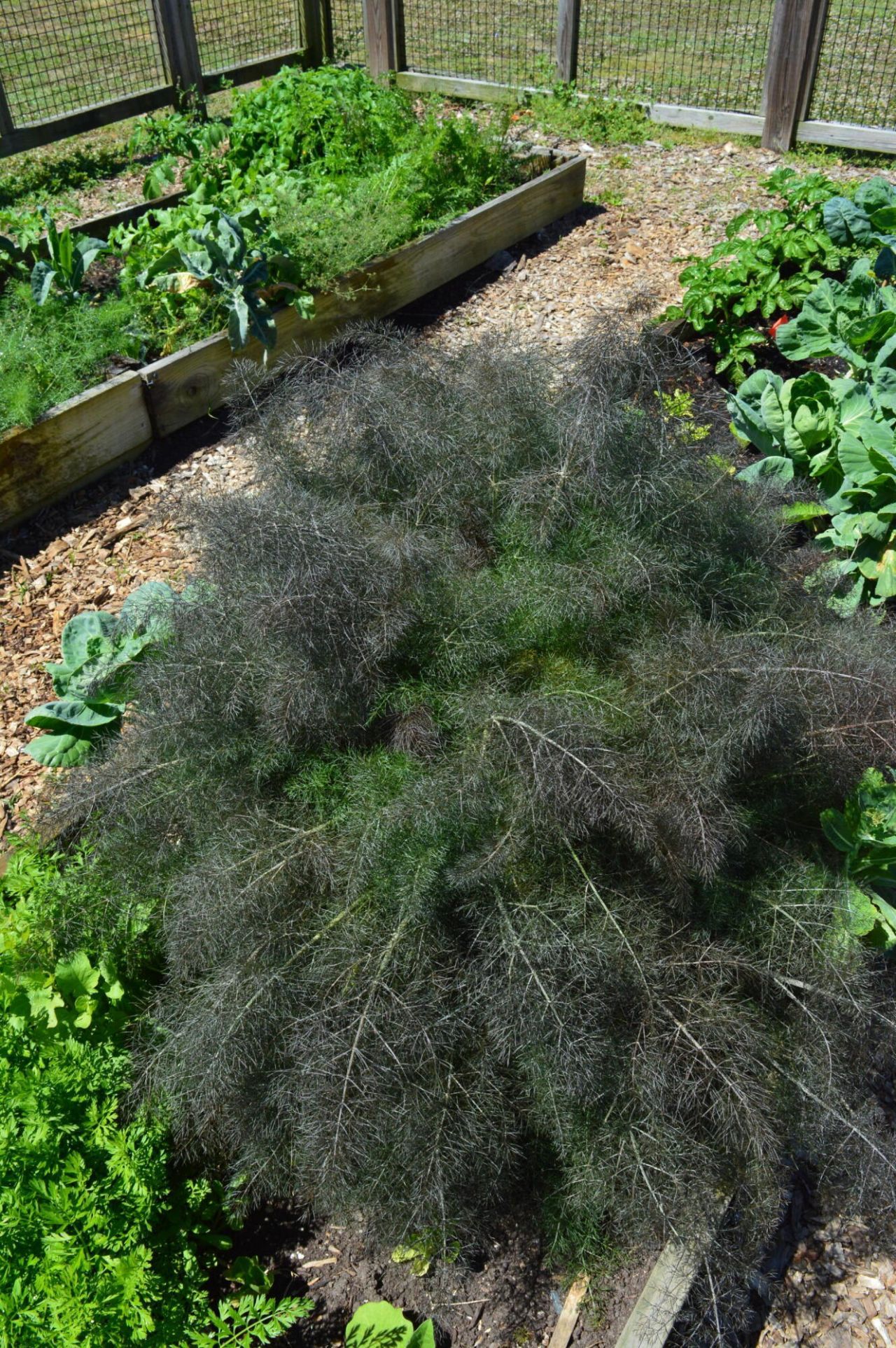 21 Hester Street Photo 52