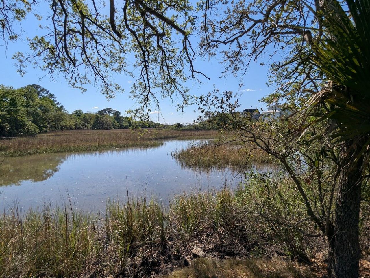 21 Hester Street Photo 60