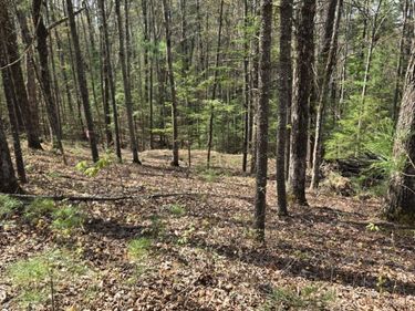 999 Victory Falls , Unit Lot 11, Campton, KY 41301