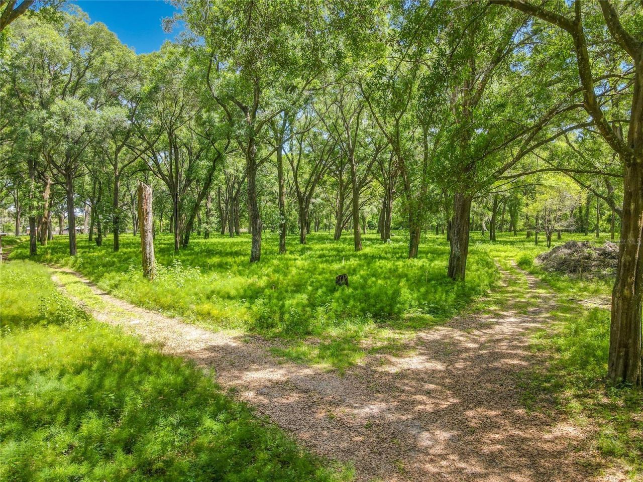 164 Denver Road, Crescent City, FL 32112 Photo