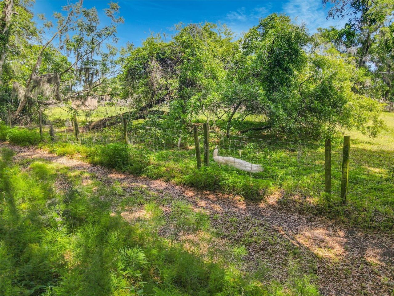 164 Denver Road, Crescent City, FL 32112 Photo