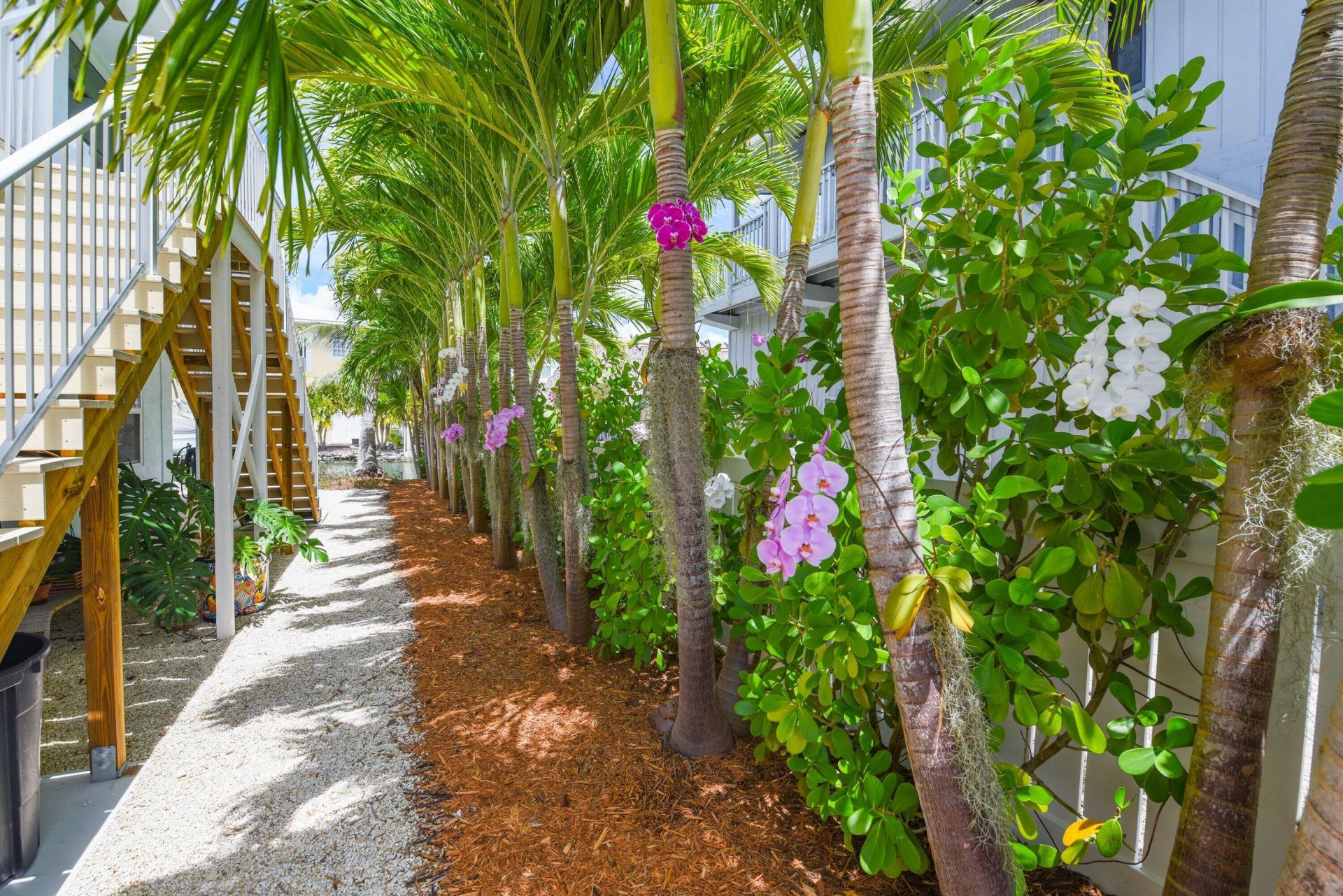 637 E Caribbean Drive, Summerland Key, FL 33042 Photo