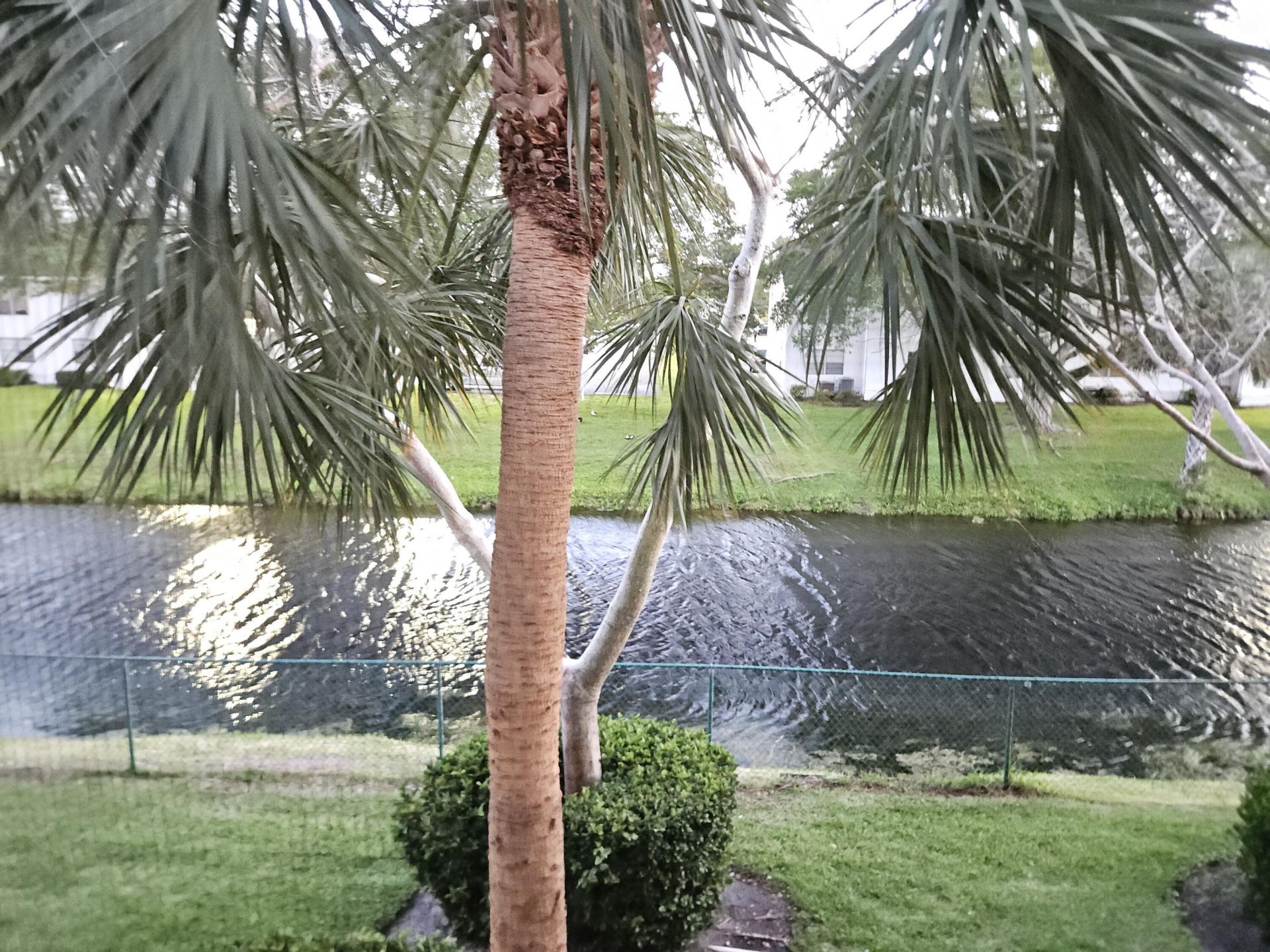 7900 NW 6th Street, Unit 205, Pembroke Pines, FL 33024 Photo