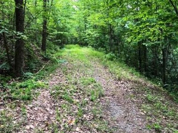 Lot 46 Lake Adger Parkway , Mill Spring, NC 28756