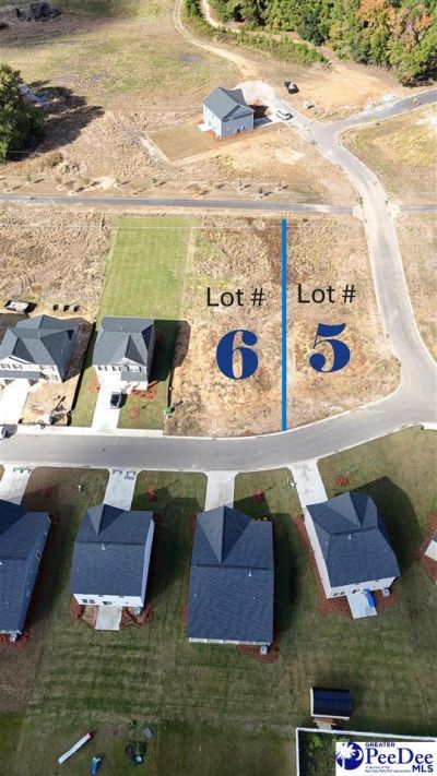 1200 Summer Duck Loop Photo 40